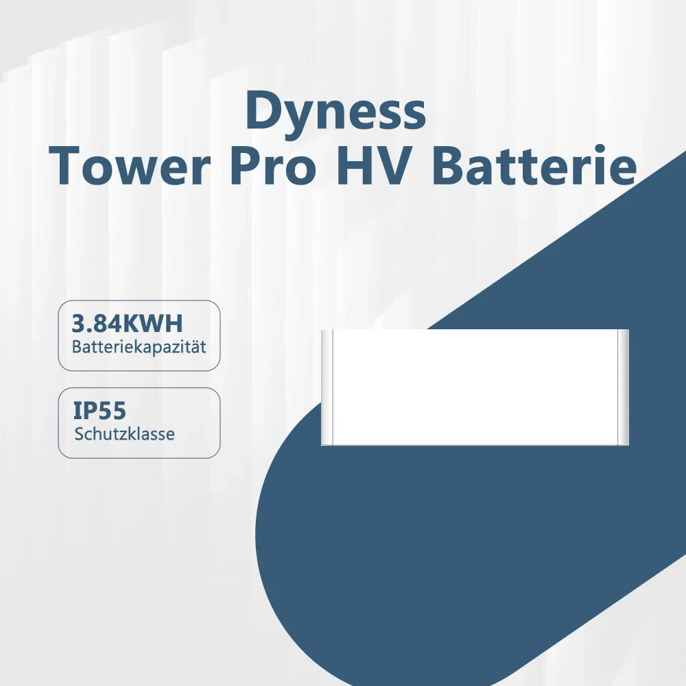Dyness Tower Pro HV Batterie