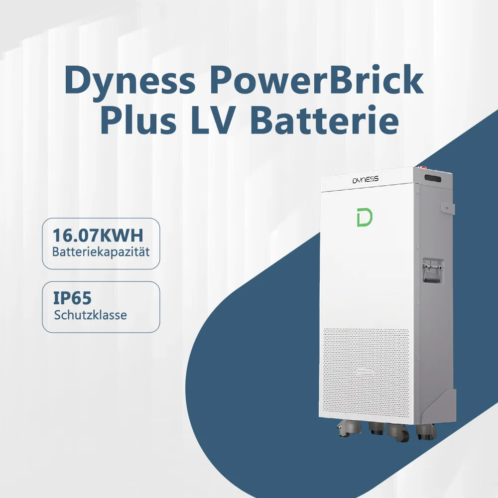 Dyness PowerBrick Plus LV Batterie